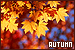  Seasons: Autumn/Fall`